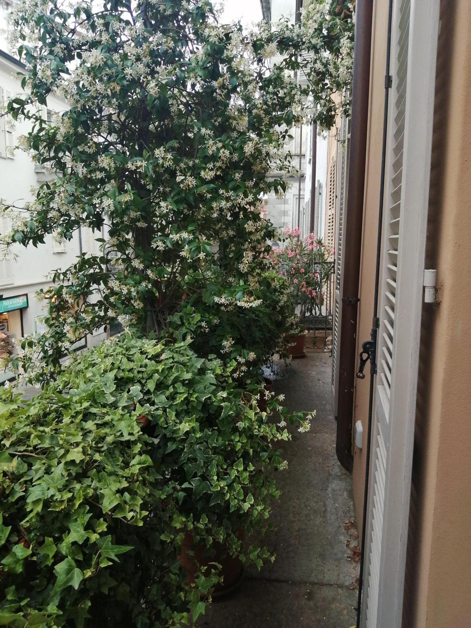 Le Melusine Apartment Vercelli Luaran gambar